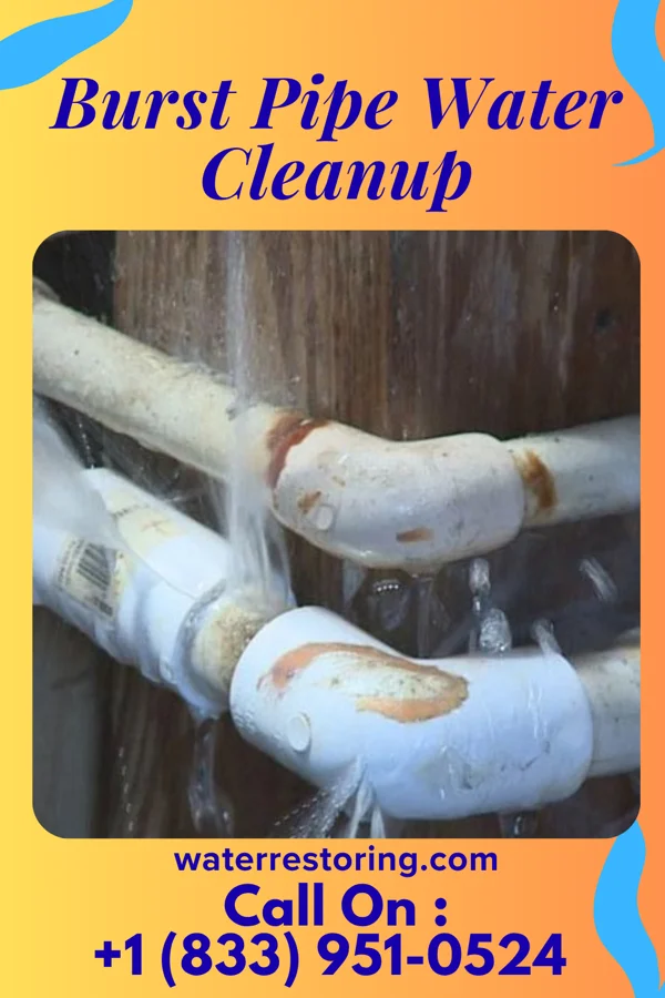 Burst Pipe Water Cleanup in Colp, IL