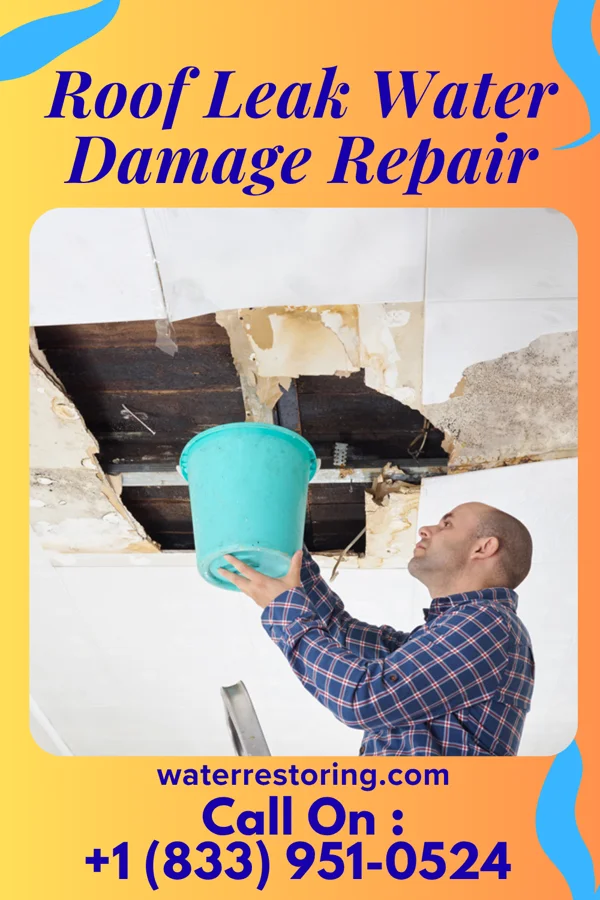 Roof Leak Water Damage Repair in Colp, IL