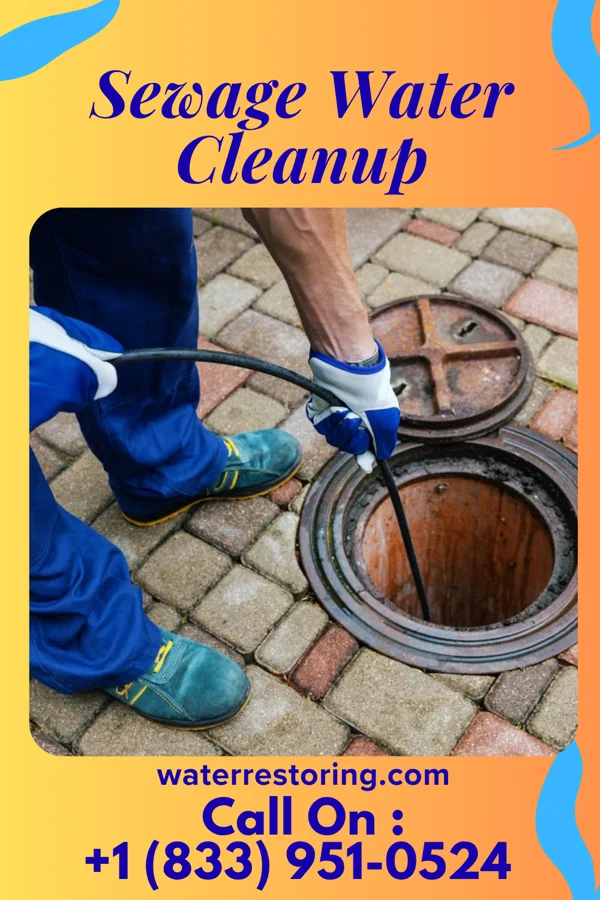 Sewage Water Cleanup in Colp, IL